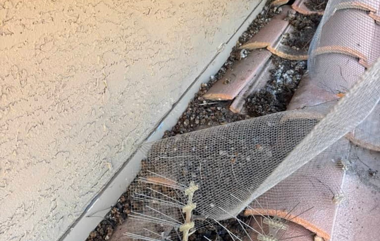 Roof repair project completed by Vivid Roofs, Arizona